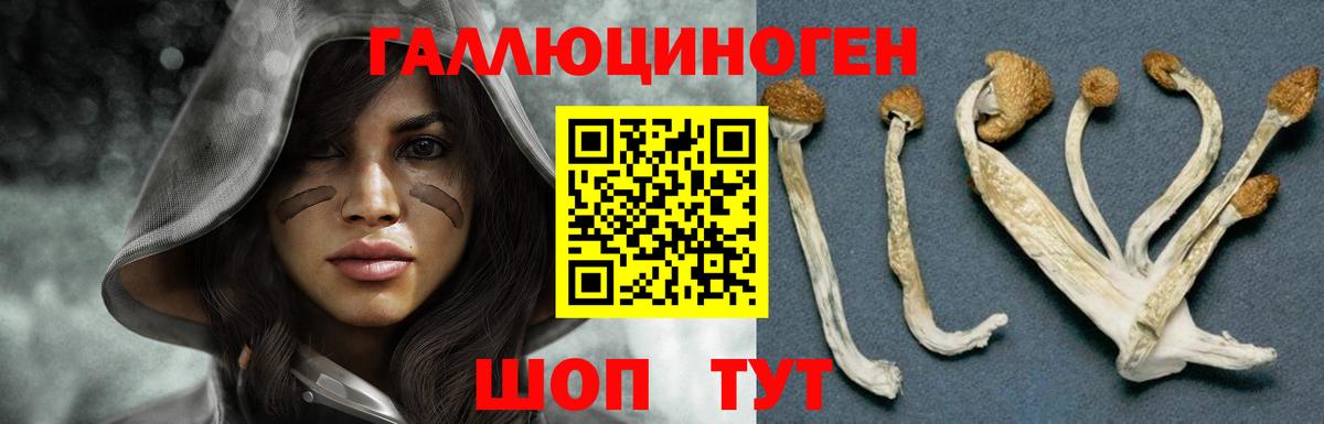 Псилоцибиновые грибы GOLDEN TEACHER  Псилоцибиновые грибы Magic Shrooms  Вход с VPN  Киселёвск 